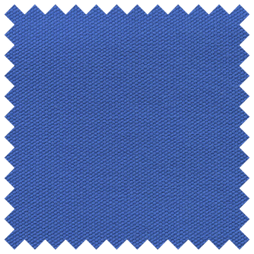 Blue Bird