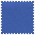  Blue Bird