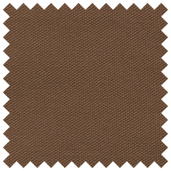 Cinnamon