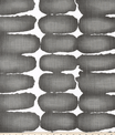 Fabric Sample Only - Shibori Cotton Slub