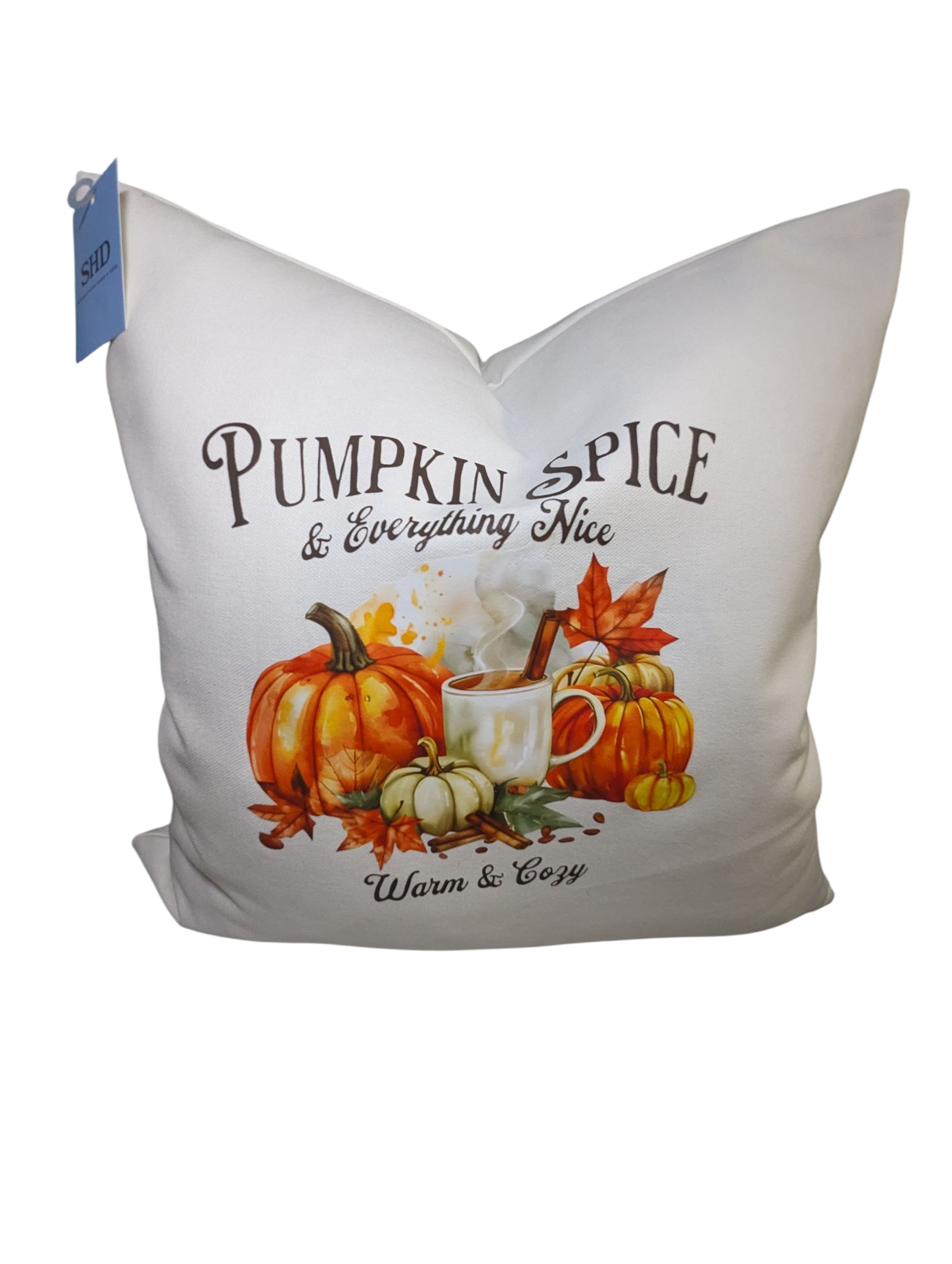PUMPKIN Spice Fall Pillow Cover